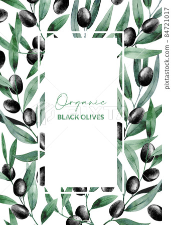 Greeting card with watercolor black olives. Template with hand drawn botanical illustration of olea plant. 84721017
