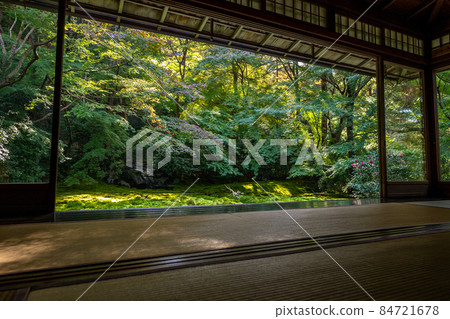 Autumn Rurikoin and surrounding scenery 84721678