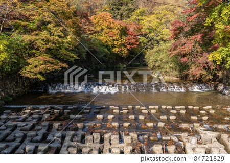 Autumn Rurikoin and surrounding scenery Autumn Rurikoin and surrounding scenery 84721829