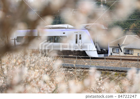 Plum blossom and Chuo Line Plum blossom and Chuo Line 84722247