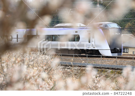 Plum blossom and Chuo Line Plum blossom and Chuo Line 84722248