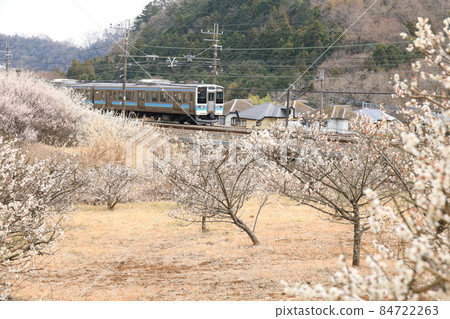 Plum blossom and Chuo Line Plum blossom and Chuo Line 84722263