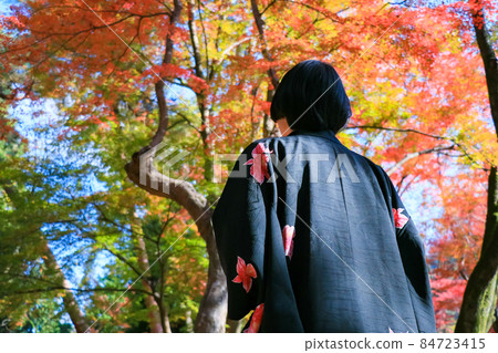 A woman in kimono looking at the colorful autumn leaves A woman in kimono looking at the colorful autumn leaves 84723415