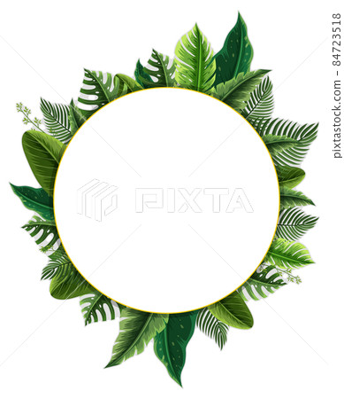 Round frame with tropical green leaves 84723518