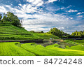 Rice terraces in Chihayaakasaka Village, Osaka Prefecture, selected as one of the "100 Best Rice Terraces in Japan" 84724248