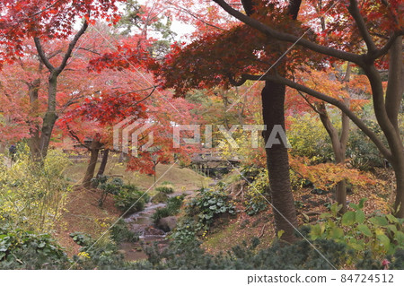 秋葉Sansei庭院 秋葉Sansei庭院 84724512