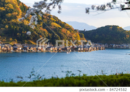 京都府/“伊根船屋”群(重要傳統建築保護區),夕陽染紅的櫻花盛開 京都府/“伊根船屋”群(重要傳統建築保護區),夕陽染紅的櫻花盛開 84724582