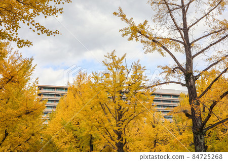 Kumamoto prefectural government office 84725268