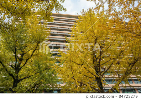 Kumamoto prefectural government office 84725279