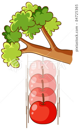 An apple falling from a tree on white background 84725365