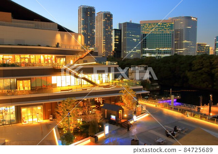 Waterside cityscape Waters bamboo turf and dock 84725689
