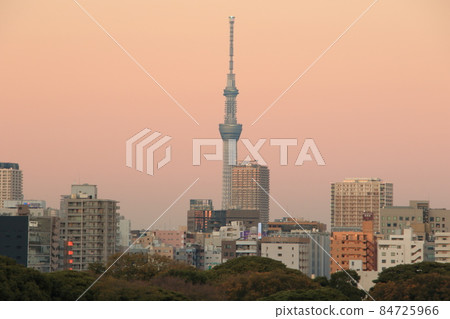 Waterside cityscape Waters bamboo turf and dock evening view 84725966
