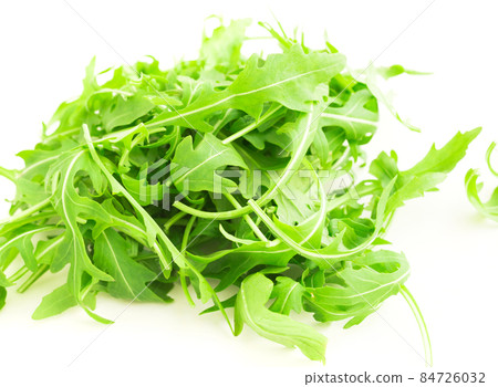 fresh farm arugula on a white background fresh farm arugula on a white background 84726032