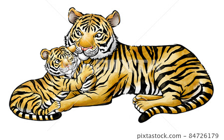 老虎的父母和孩子的水墨插圖,新年賀卡材料 老虎的父母和孩子的水墨插圖,新年賀卡材料 84726179