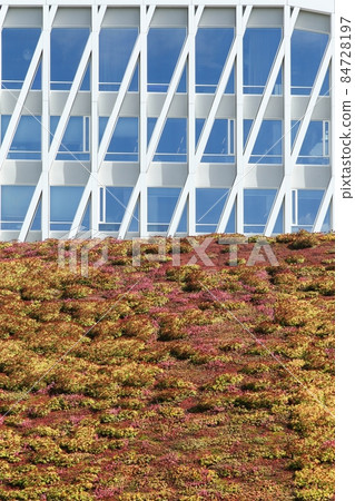 Details and facade of the city hall of Viborg in Denmark Details and facade of the city hall of Viborg in Denmark 84728197
