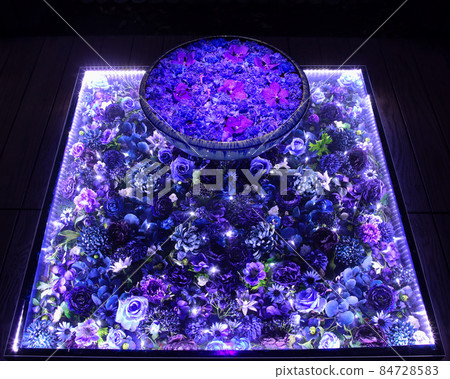 Ashikaga Ashikaga Flower Park Illuminated Hanatemizu 84728583