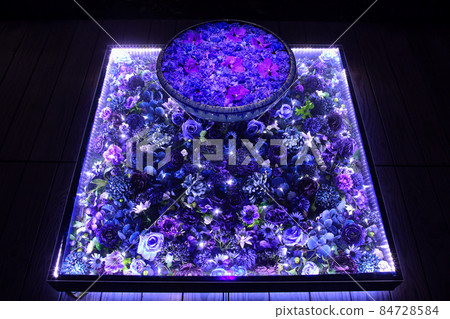 Ashikaga Ashikaga Flower Park Illuminated Hanatemizu Ashikaga Ashikaga Flower Park Illuminated Hanatemizu 84728584