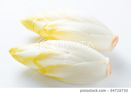 Chicory. (White background) 84728730