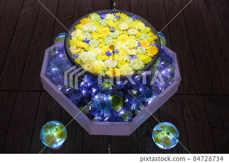 Ashikaga Ashikaga Flower Park Illuminated Hanatemizu Ashikaga Ashikaga Flower Park Illuminated Hanatemizu 84728734