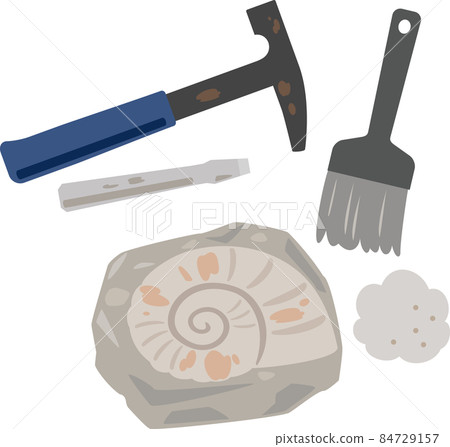 Ammonite fossils and brushes and hammers 84729157