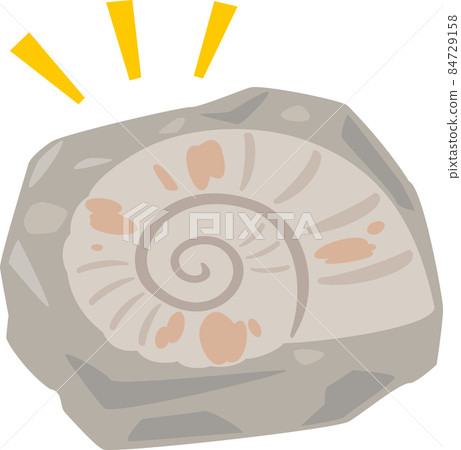 Fossil of ammonite 84729158