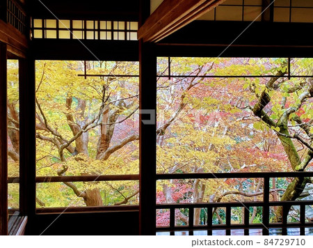 琉璃院秋葉 84729710