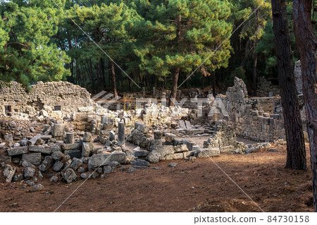view of the overgrown ruins of the ancient city of Phaselis with the remains of buildings and the central street view of the overgrown ruins of the ancient city of Phaselis with the remains of buildings and the central street 84730158