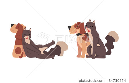 Funny Cat and Dog Best Friend Buddy up with Each Other Vector Set Funny Cat and Dog Best Friend Buddy up with Each Other Vector Set 84730254