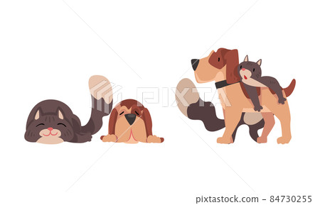 Funny Cat and Dog Best Friend Buddy up with Each Other Vector Set Funny Cat and Dog Best Friend Buddy up with Each Other Vector Set 84730255