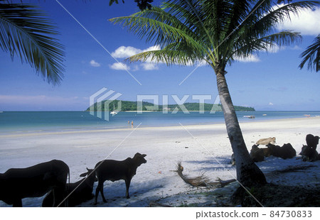 MALAYSIA LANGKAWI BEACH 84730833