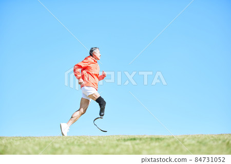 Prosthesis male 84731052