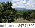 Chestnut chestnut 84731290