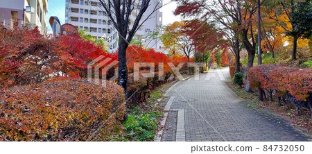 變為鮮紅色的路徑 1 84732050