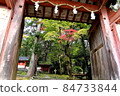 Capture the colored maples from the entrance of the four shrines in Nara Park 84733844
