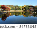 Under the blue sky, the autumnal trees and the male figure of the Great Buddha Hall are reflected on the water surface of the Great Buddha Pond. 84733848