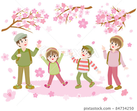 Illustration of a family enjoying cherry blossom viewing in spring 84734250
