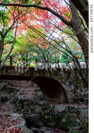 秋天的橋鋪著五顏六色的落葉 84734639