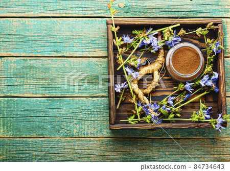 Healing herbs in herbal medicine Healing herbs in herbal medicine 84734643