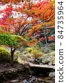 五彩繽紛的楓葉和秋流 84735964