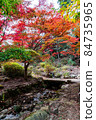 五彩繽紛的楓葉和秋流 84735965