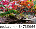 五彩繽紛的楓葉和秋流 84735966