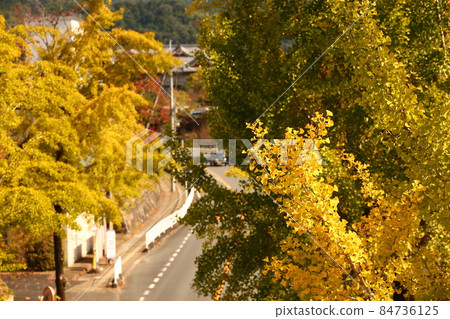 奈良縣天理市的紅葉 奈良縣天理市的紅葉 84736125