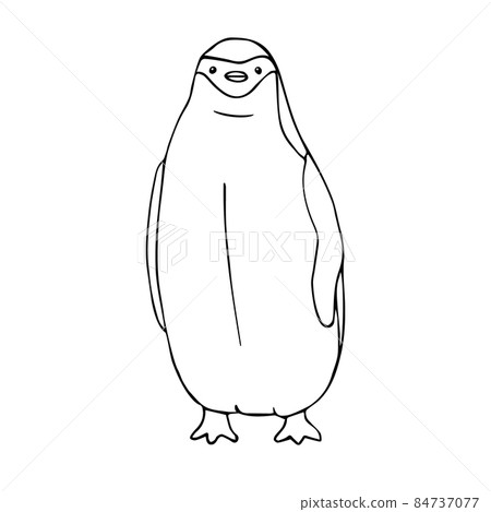 Vector hand drawn doodle sketch penguin 84737077