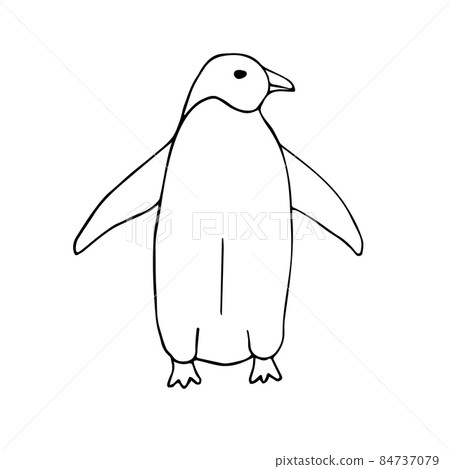 Vector hand drawn doodle sketch penguin 84737079