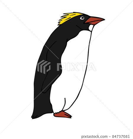 Vector hand drawn doodle sketch colored penguin 84737081