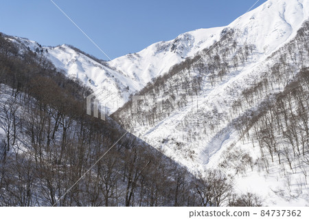 谷川雪景 84737362