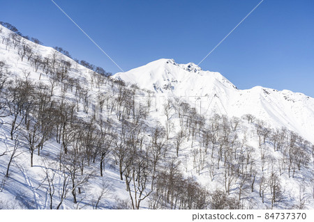 谷川雪景 谷川雪景 84737370