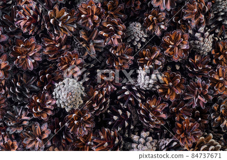 Fir cones as background, close up top view 84737671