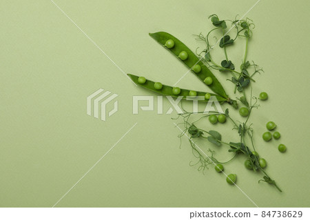 Green pea pods, seeds and twigs on green background Green pea pods, seeds and twigs on green background 84738629