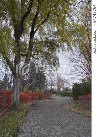 Yurigahara Park taken in November (Sapporo, Hokkaido) 84742764